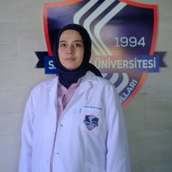 DSCF8569 DSCF8569