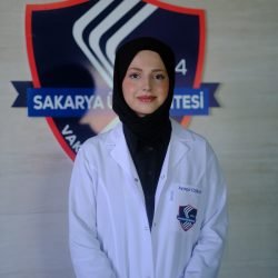 DSCF8578 DSCF8578